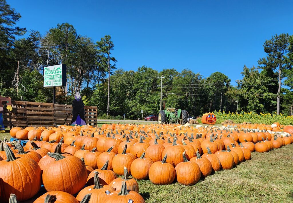 great places in easley sc for fall photos