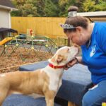 give me - paw dog care in easley sc